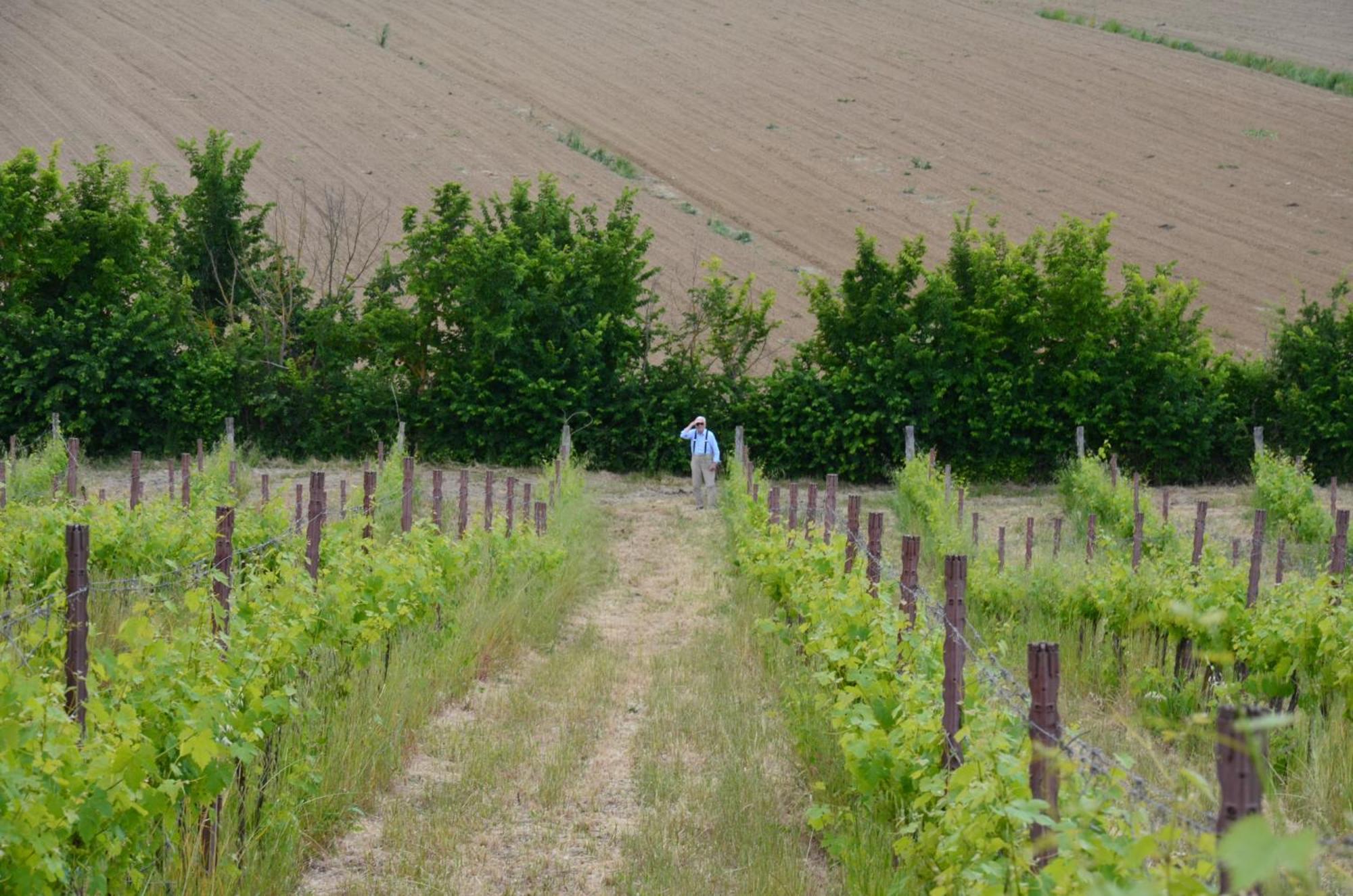 Agriturismo Sant'Alfredo 몬테로니다르비아 외부 사진